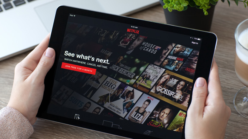 Can you download netflix for offline viewing on mac